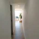Tamaran 208 *
